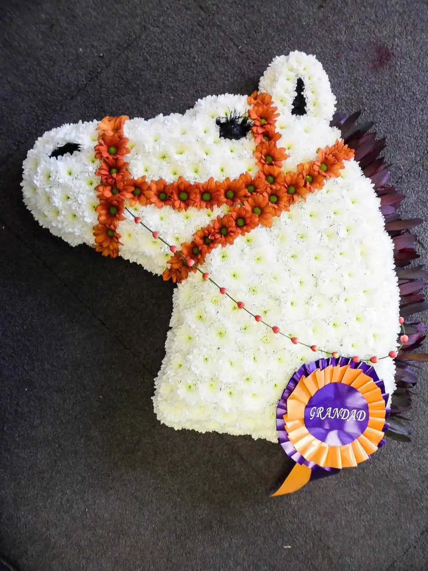 Rosebuds_flowers_torquay_horse